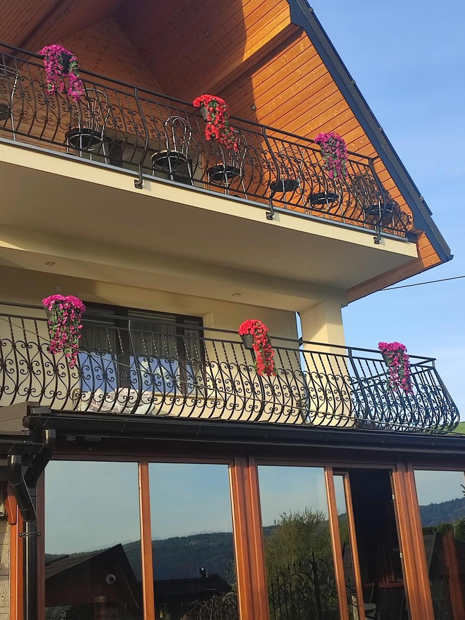 Apartament Na Wzgorzu Muszyna Εξωτερικό φωτογραφία